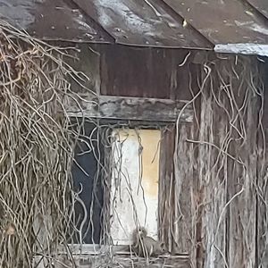 Meet your Posher, Vickie